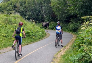Photo of traffic on the trail